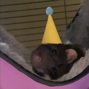 Meet your Posher, Heather